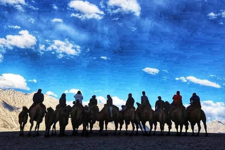 Camel Ride Nubra